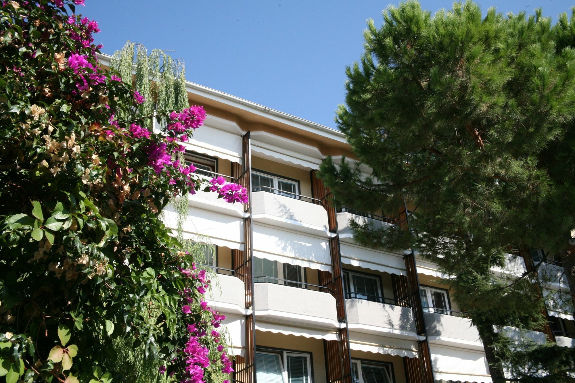 ואראצה Hotel Palace מראה חיצוני תמונה